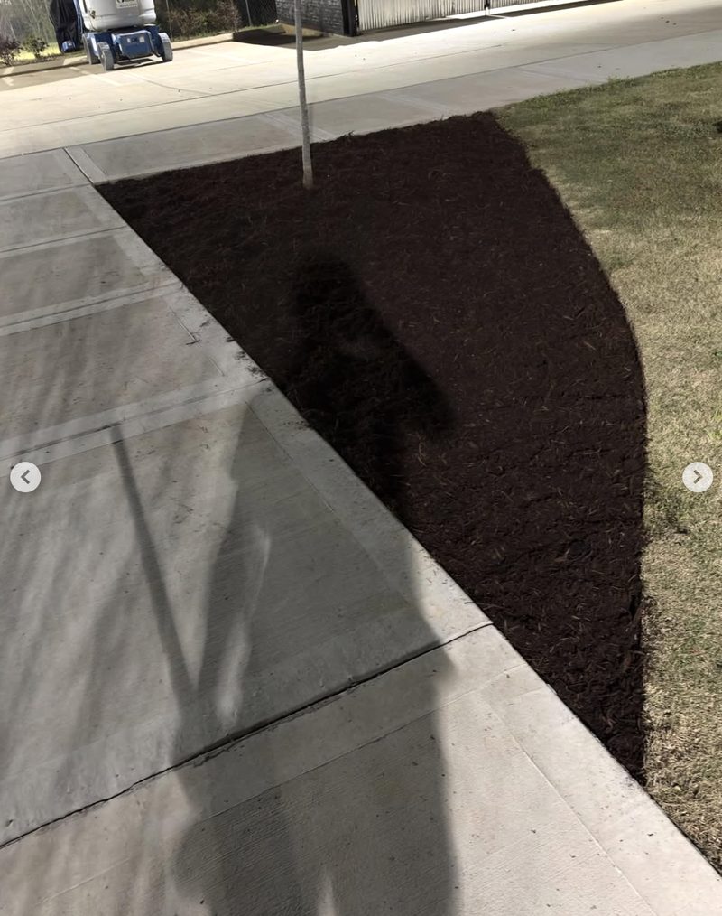 After — clean lawn