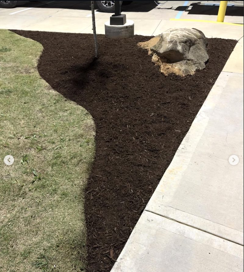 After — clean landscaped property