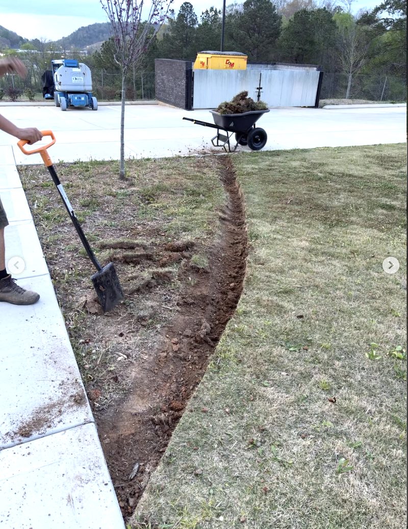 Before — lawn transformation