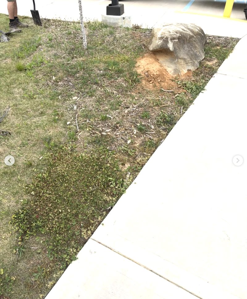 Before — overgrown property
